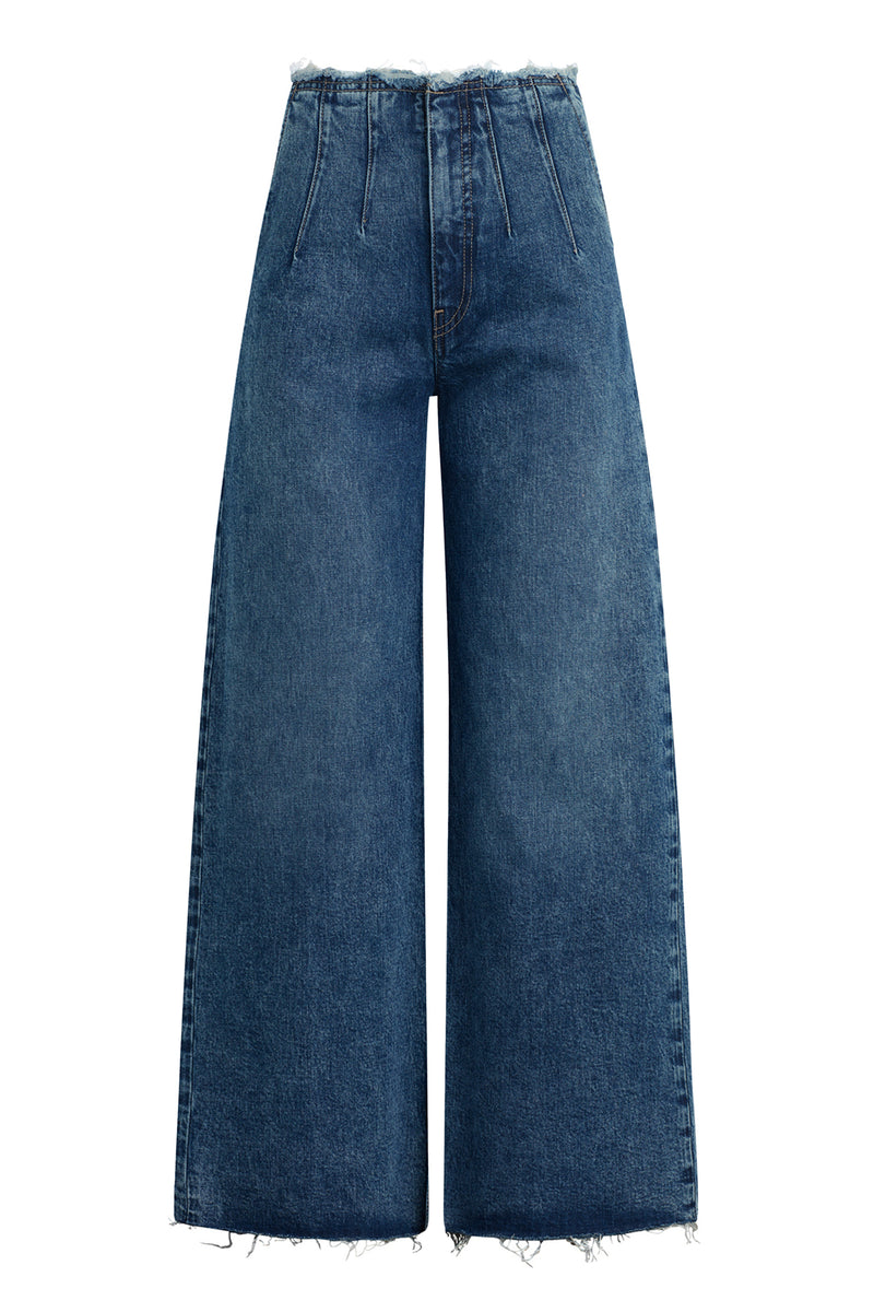 James High-Rise Darted Wide Leg Jean